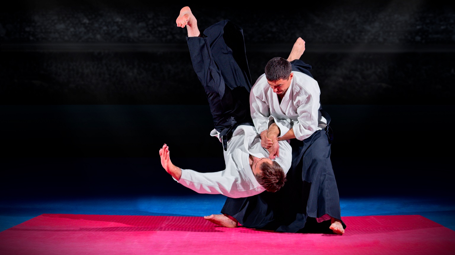 каратэ комбат 2021 окинава. рукопашный бой айкидо. боевые искусства в силах самообороны японии. рукопашный бой кабардино балкария. уширо маваши.